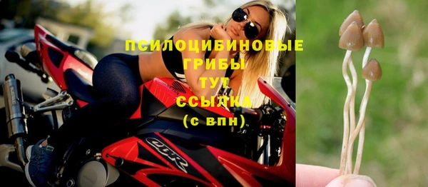 твердый Богданович