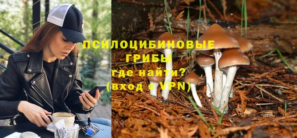 эйфоретик Богородицк