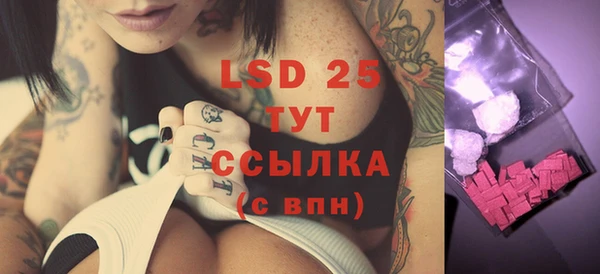 твердый Богданович