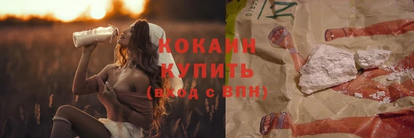 твердый Богданович