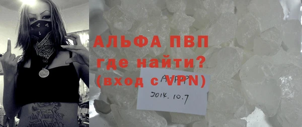твердый Богданович