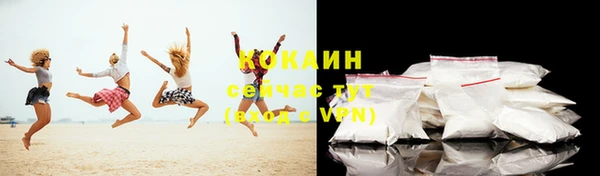 твердый Богданович