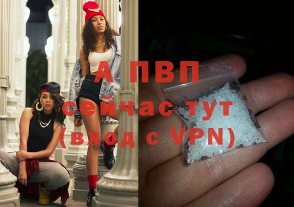 твердый Богданович