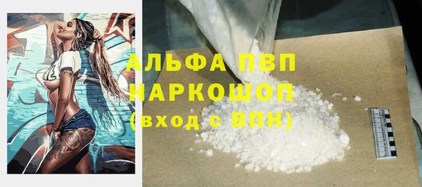 твердый Богданович