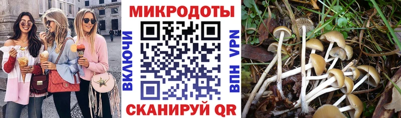 Купить закладки  Наро-Фоминск  Галлюциногенные грибы Psilocybine cubensis 