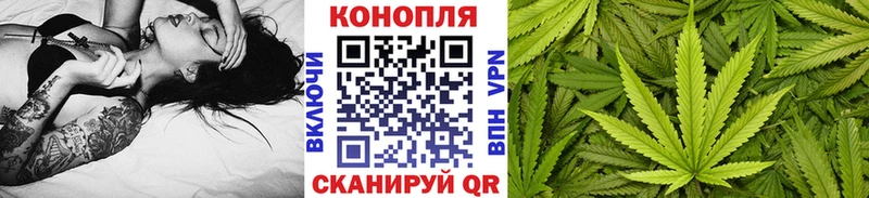 Купить где  Наро-Фоминск  Конопля гибрид 